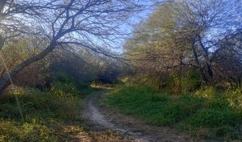 Chacra en el Tramo 18, Santiago del Estero