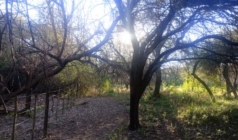 Chacra en el Tramo 18, Santiago del Estero