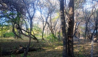 Chacra en el Tramo 18, Santiago del Estero