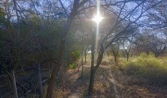 Chacra en el Tramo 18, Santiago del Estero
