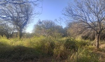 Chacra en el Tramo 18, Santiago del Estero