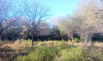 Chacra en el Tramo 18, Santiago del Estero