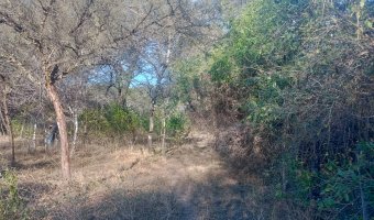 Chacra en el Tramo 18, Santiago del Estero