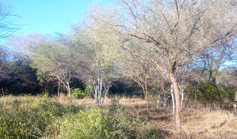 Chacra en el Tramo 18, Santiago del Estero