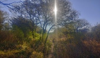 Chacra en el Tramo 18, Santiago del Estero