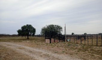 Feedlot en Beltrán, Santiago del Estero