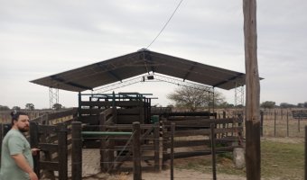Feedlot en Beltrán, Santiago del Estero