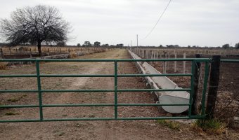 Feedlot en Beltrán, Santiago del Estero