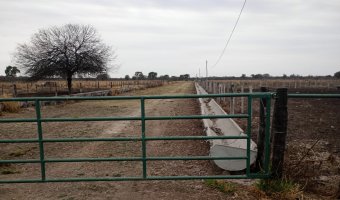 Feedlot en Beltrán, Santiago del Estero