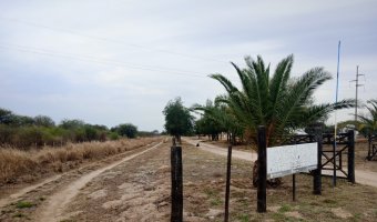 Feedlot en Beltrán, Santiago del Estero