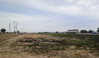 Feedlot en Beltrán, Santiago del Estero