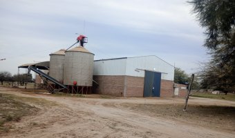 Feedlot en Beltrán, Santiago del Estero