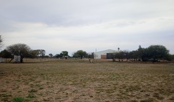 Feedlot en Beltrán, Santiago del Estero