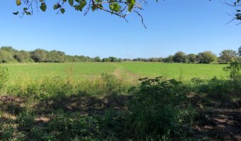 Chacra en Silípica, Santiago del Estero