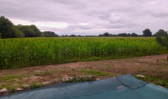 Chacra en Silípica, Santiago del Estero