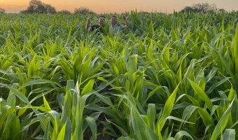 Chacra en Silípica, Santiago del Estero
