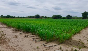 Chacra en Silípica, Santiago del Estero