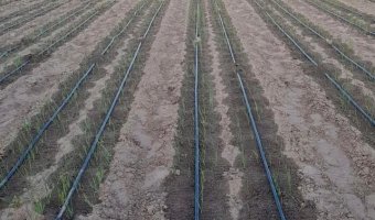 Chacra en Silípica, Santiago del Estero