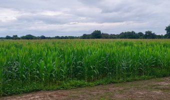 Chacra en Silípica, Santiago del Estero