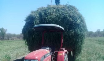 Chacra en Silípica, Santiago del Estero