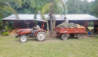 Chacra en Silípica, Santiago del Estero