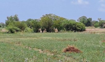 Chacra en Silípica, Santiago del Estero