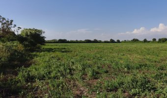 Chacra en Villa Hipólita, Santiago del Estero