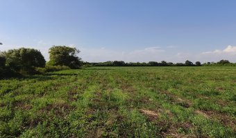Chacra en Villa Hipólita, Santiago del Estero