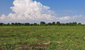 Chacra en Villa Hipólita, Santiago del Estero