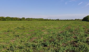 Chacra en Villa Hipólita, Santiago del Estero