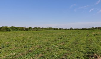 Chacra en Villa Hipólita, Santiago del Estero