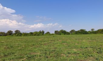 Chacra en Villa Hipólita, Santiago del Estero