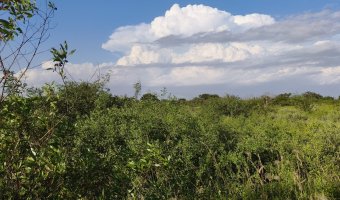 Chacra en Villa Hipólita, Santiago del Estero