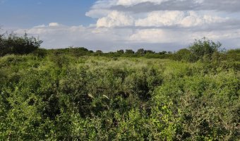 Chacra en Villa Hipólita, Santiago del Estero