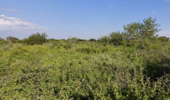 Chacra en Villa Hipólita, Santiago del Estero