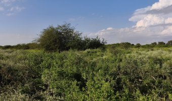 Chacra en Villa Hipólita, Santiago del Estero