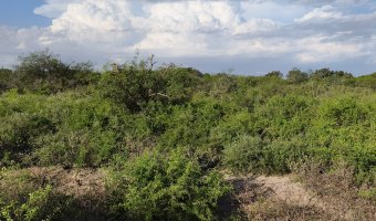 Chacra en Villa Hipólita, Santiago del Estero