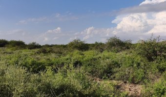 Chacra en Villa Hipólita, Santiago del Estero