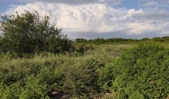 Chacra en Villa Hipólita, Santiago del Estero