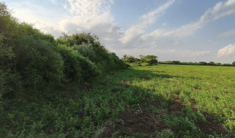 Chacra en Villa Hipólita, Santiago del Estero