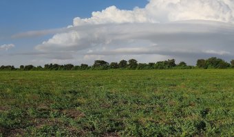 Chacra en Villa Hipólita, Santiago del Estero