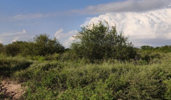 Chacra en Villa Hipólita, Santiago del Estero