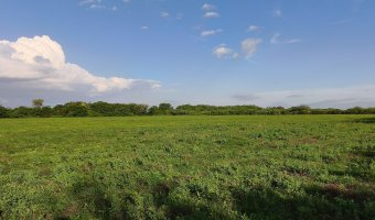 Chacra en Villa Hipólita, Santiago del Estero