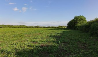Chacra en Villa Hipólita, Santiago del Estero