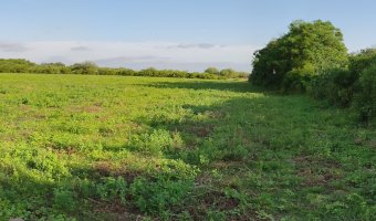 Chacra en Villa Hipólita, Santiago del Estero