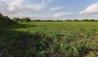 Chacra en Villa Hipólita, Santiago del Estero